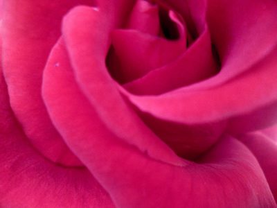 Modèle pink