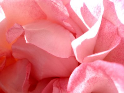 Miroitement rose délicat