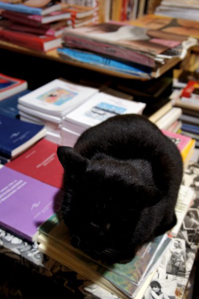 Libro accompagnamento