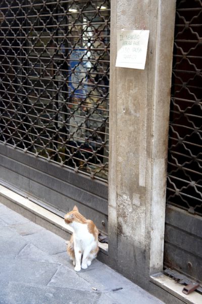 Il cliente abituale
