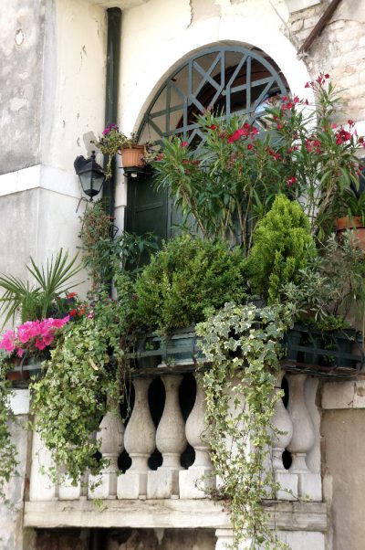 Finestra Fiori