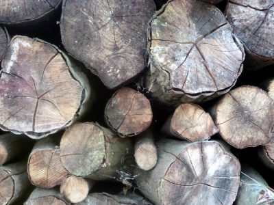 verwittertes Holz