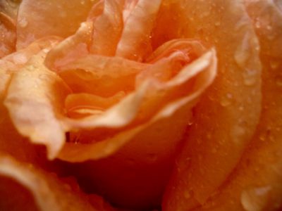 Couleurs humides