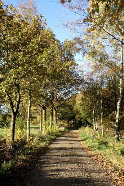 HERBSTLICH
