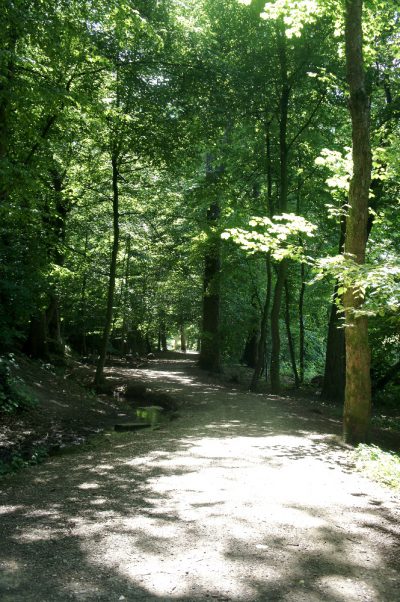 NEBENHER