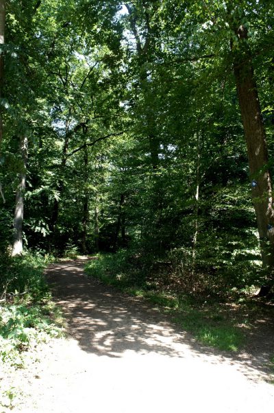 NÄCHST