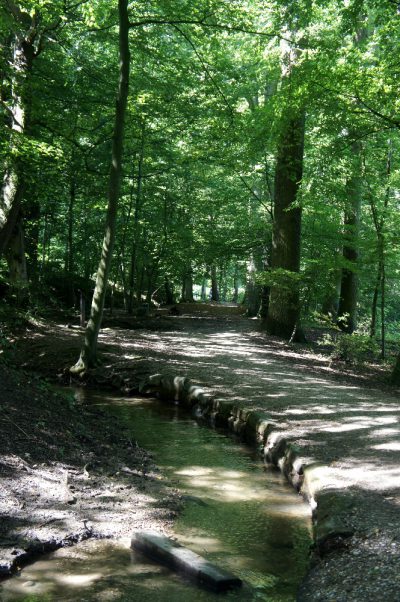 SEITWÄRTS