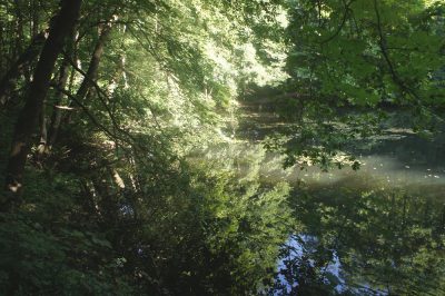 alter Weiher